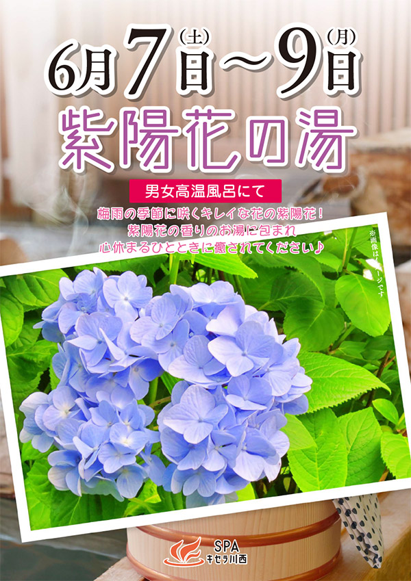 紫陽花の湯　6月7日～9日
